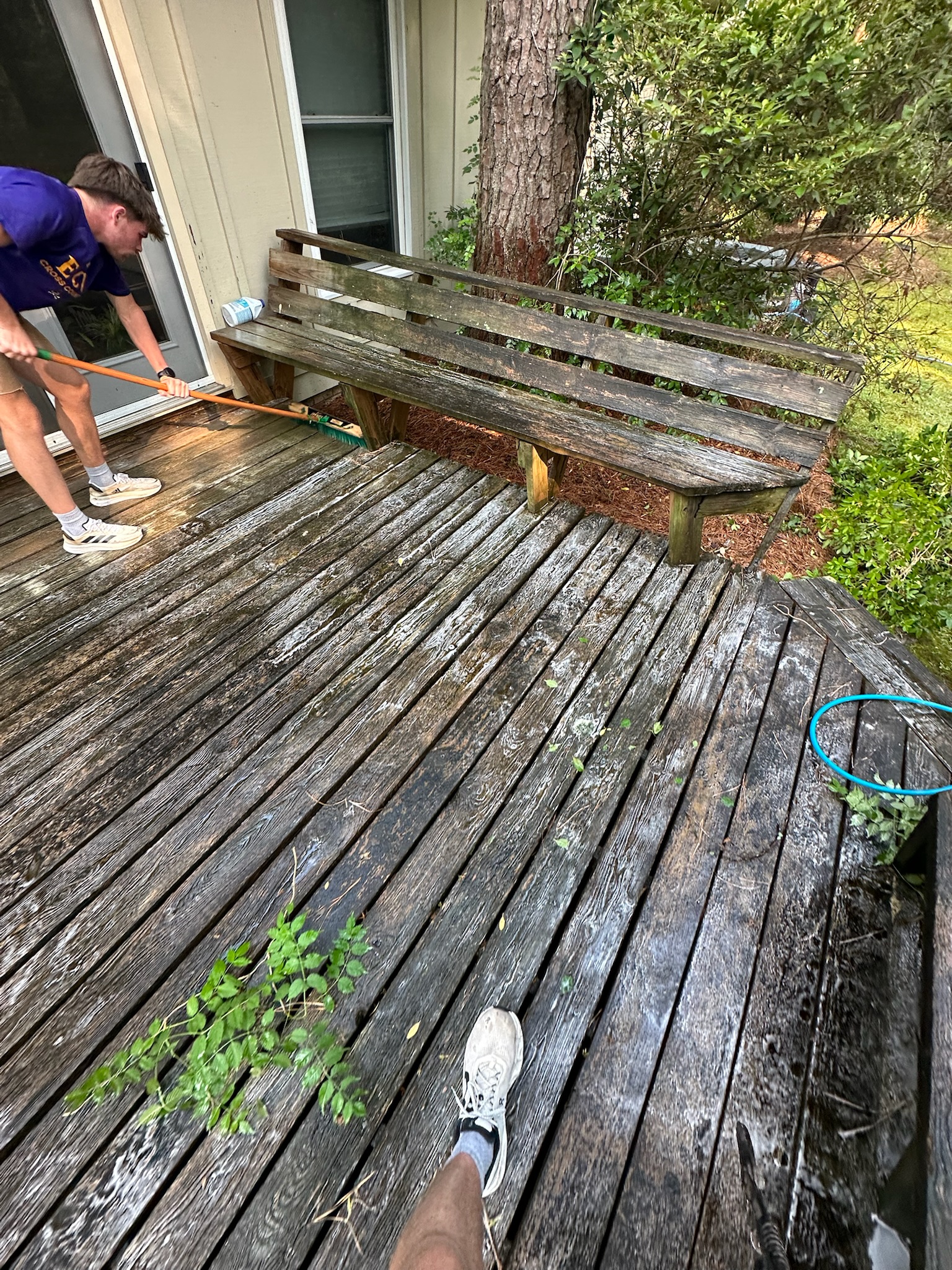 Professional service